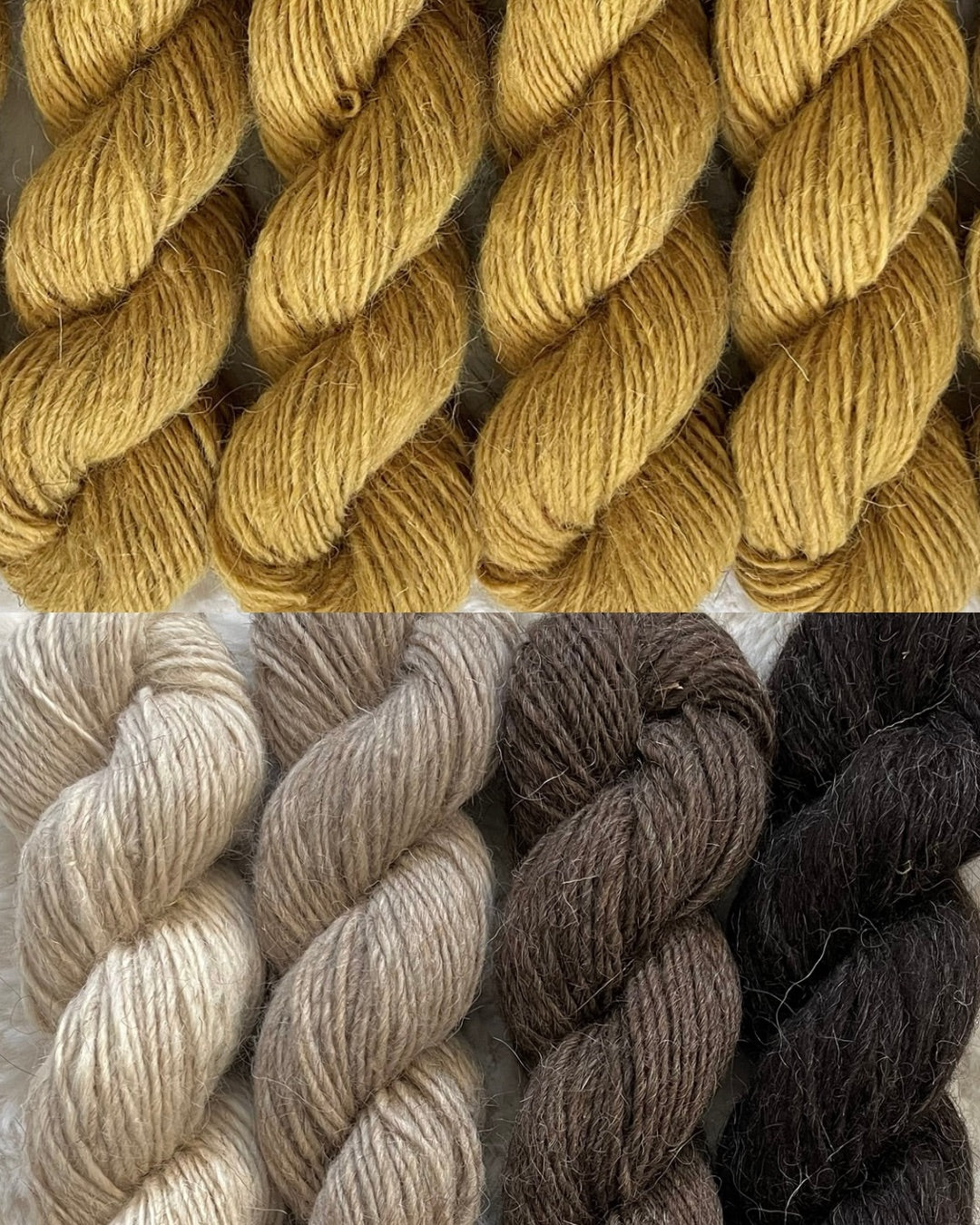 Golden Hour | Gothfarm Yarn Collab (Pre-Order)